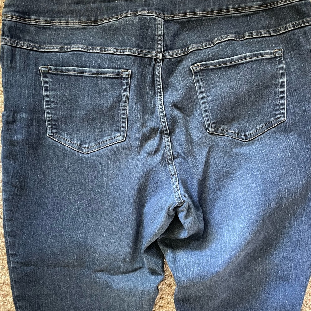 Woman’s Terra & sky elastic waist sz 2x jeans - Picture 2 of 5